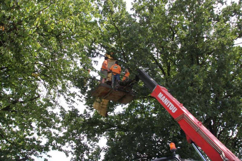 55 Jahre MFC Rosenheim Jubi Flugtag-36
