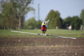Anfliegen_2019_31