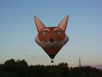 MFC Rosenheim Flugtag 2007-15