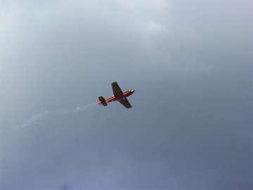 MFC Rosenheim Flugtag 2008-25