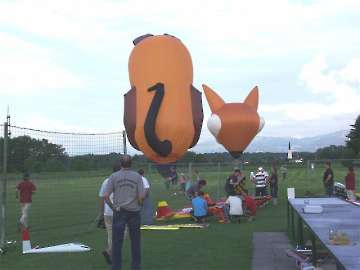 MFC Rosenheim Flugtag 2008-29