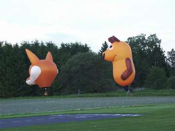 MFC Rosenheim Flugtag 2008-44