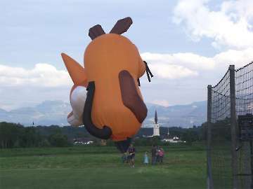 MFC Rosenheim Flugtag 2008-64