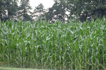 MFC Rosenheim Flugtag 2010-22