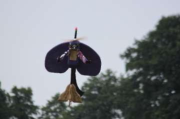 MFC Rosenheim Flugtag 2015-161