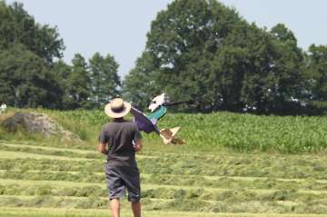 MFC Rosenheim Flugtag 2015-17