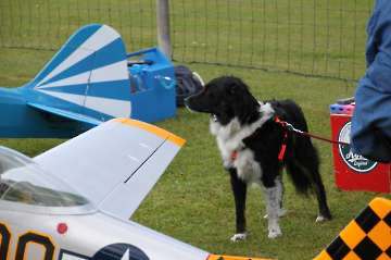 55 Jahre MFC Rosenheim Jubi Flugtag-301