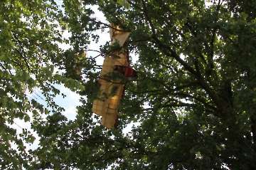 55 Jahre MFC Rosenheim Jubi Flugtag-33