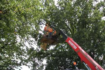 55 Jahre MFC Rosenheim Jubi Flugtag-36