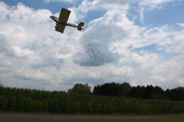 55 Jahre MFC Rosenheim Jubi Flugtag-42