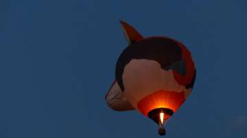 55 Jahre MFC Rosenheim Jubi Flugtag-95