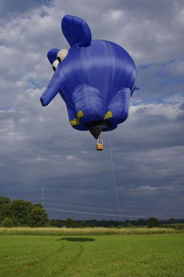 60 Jahre MFC Rosenheim Jubi Flugtag-126