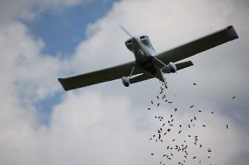 60 Jahre MFC Rosenheim Jubi Flugtag-14