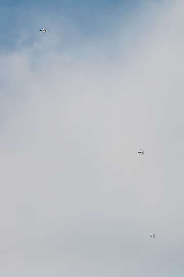 60 Jahre MFC Rosenheim Jubi Flugtag-186