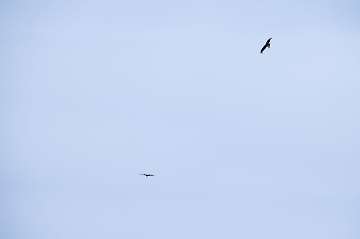 60 Jahre MFC Rosenheim Jubi Flugtag-19