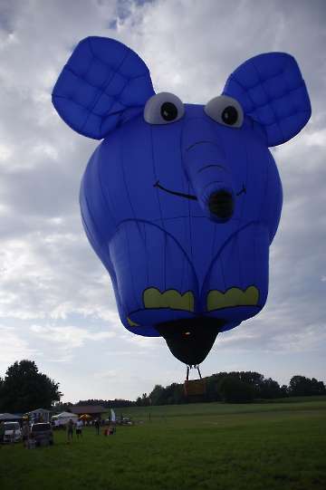 60 Jahre MFC Rosenheim Jubi Flugtag-76