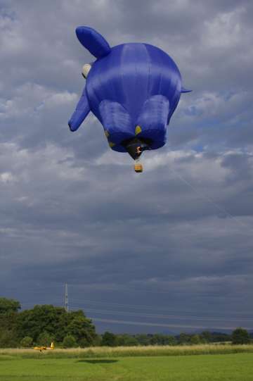60 Jahre MFC Rosenheim Jubi Flugtag-80
