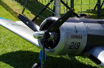 IMGP7122