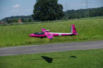 IMGP7428