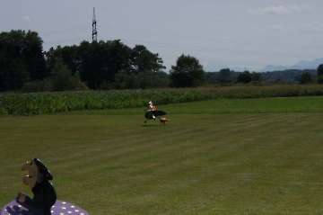 50 Jahre MFC Rosenheim Jubi Flugtag-164